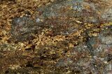 Polished Golden Amphibolite Slab - Western Australia #221680-1